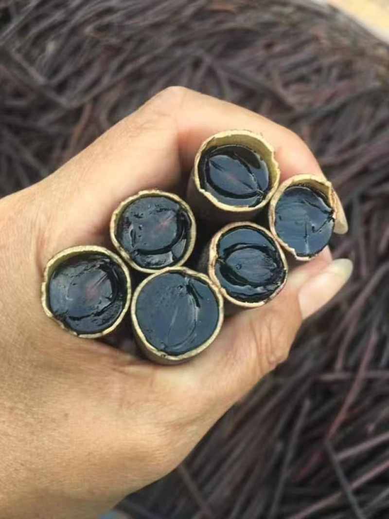 云南便秘果腊肠果