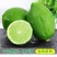 云南香水柠檬大量上市
