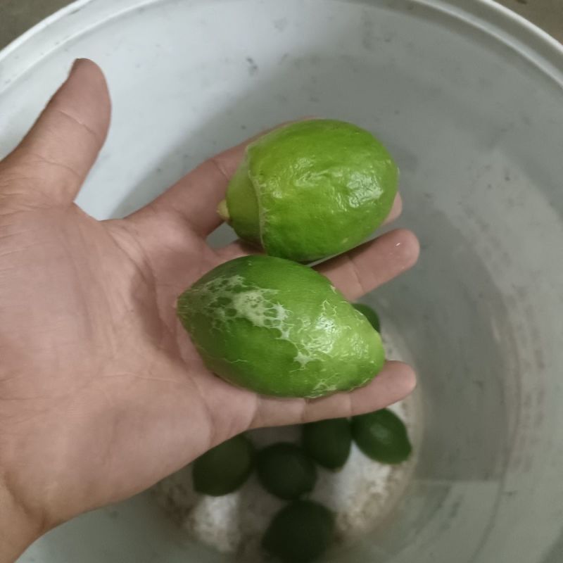 云南香水柠檬大量上市
