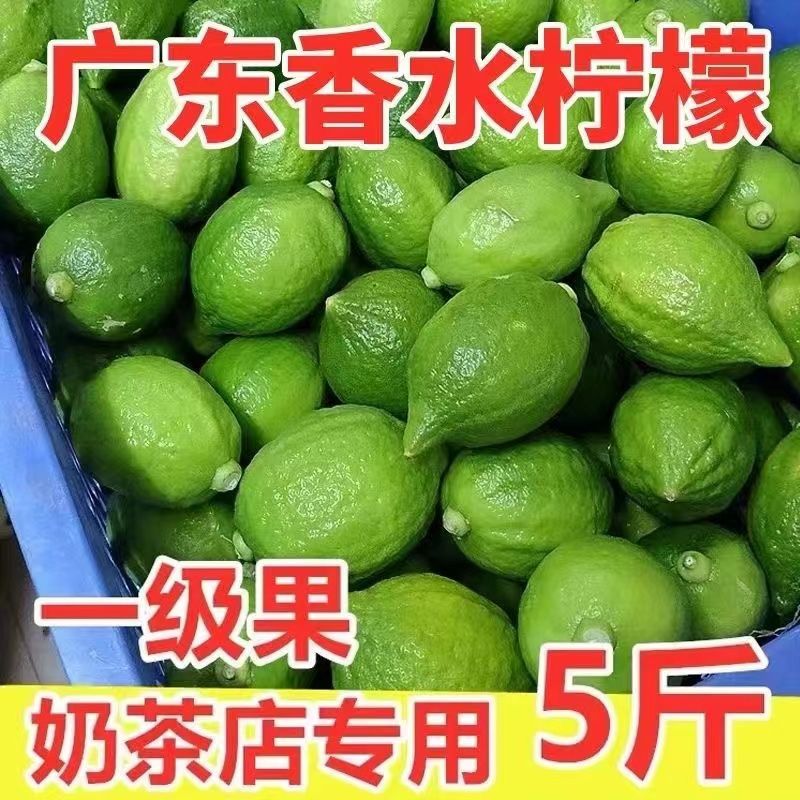 云南香水柠檬大量上市