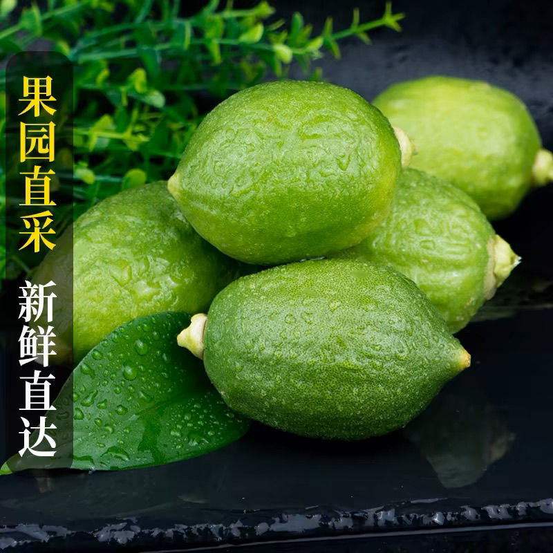 云南香水柠檬大量上市