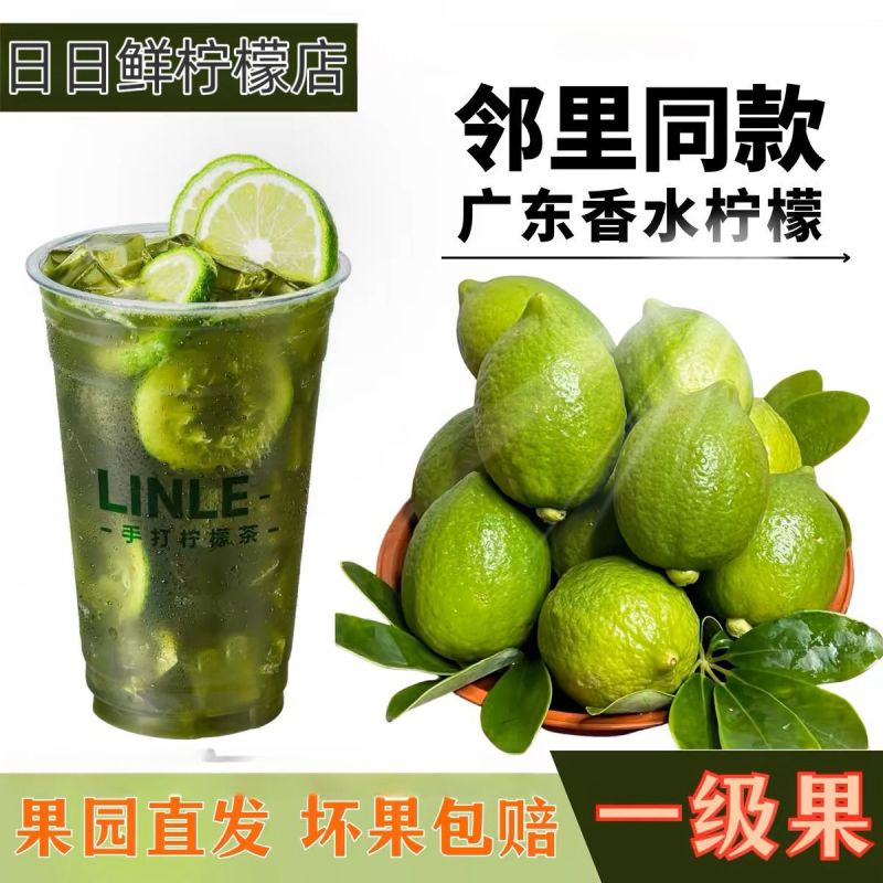 云南香水柠檬大量上市