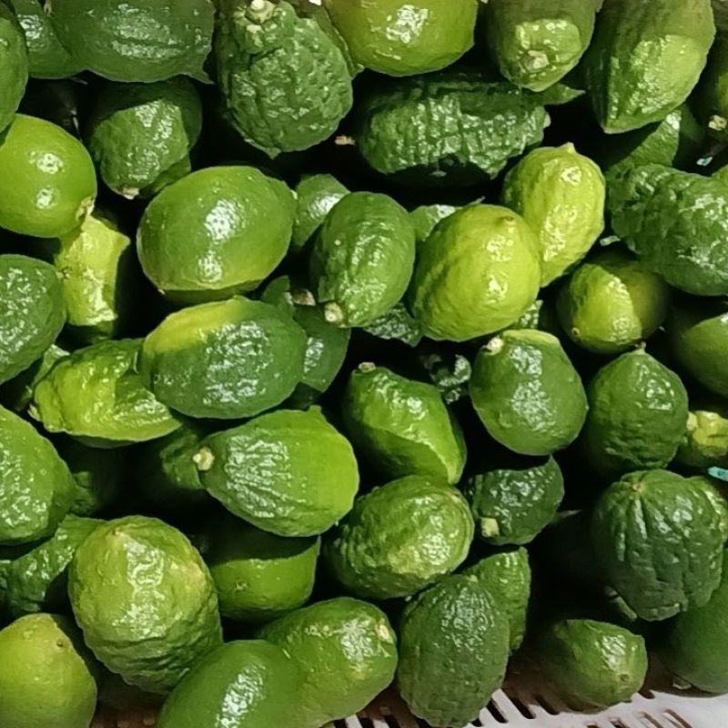云南香水柠檬大量上市