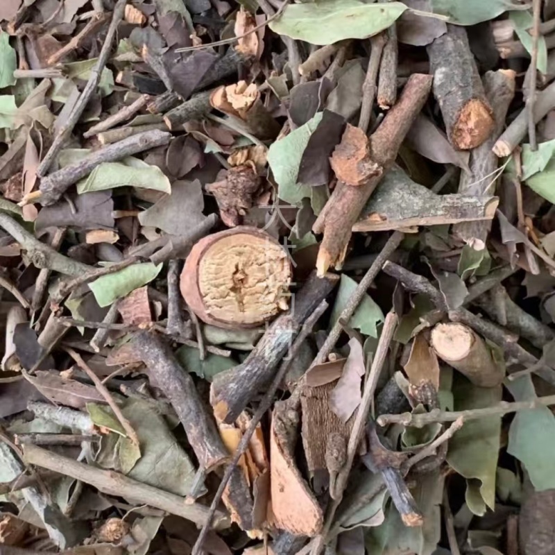 松树寄生【包邮】三斤起发货可批量可零售量大从优