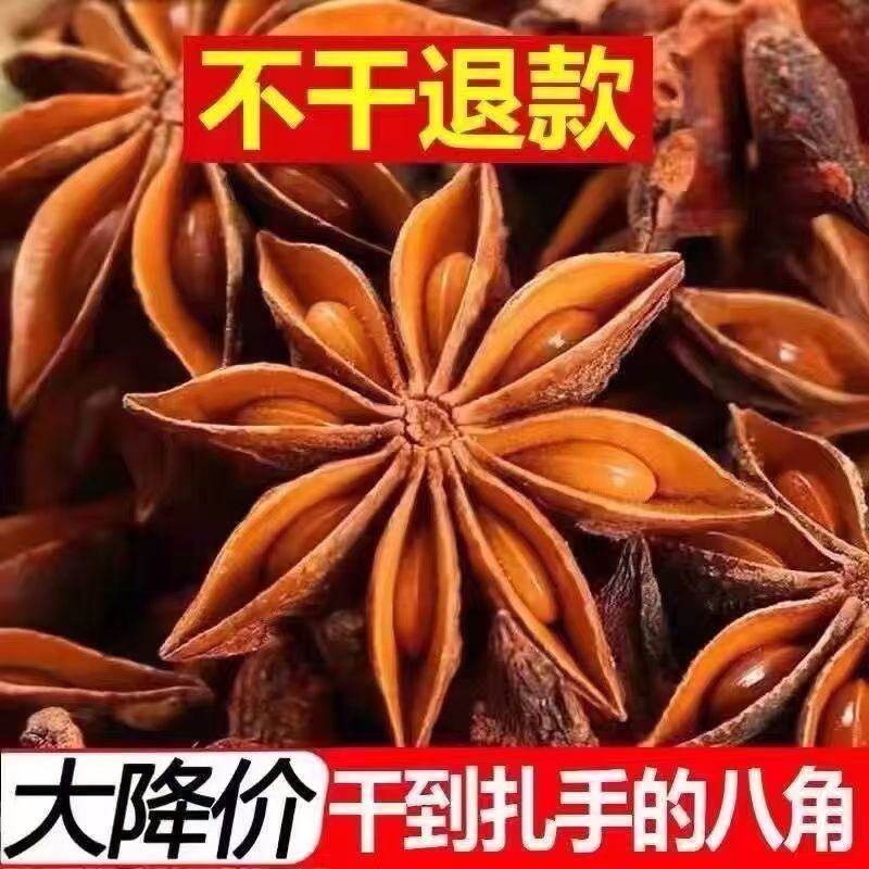 【一件代发】广西大红八角干枝八角品质保障欢迎来电咨