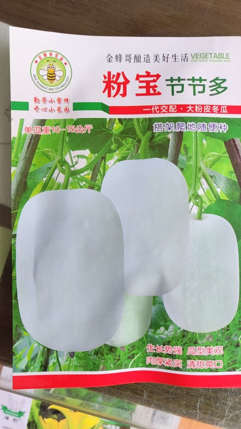 冬瓜种子粉皮冬瓜种子地冬瓜种子灰冬瓜种子白皮冬瓜种子