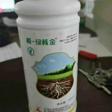 根绿核金吲哚丁酸植物生长调节剂