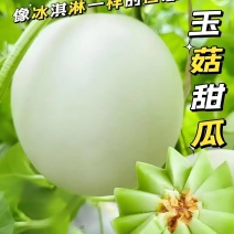 玉菇甜瓜冰淇淋甜瓜奶香蜜香甜可口产地货源直发