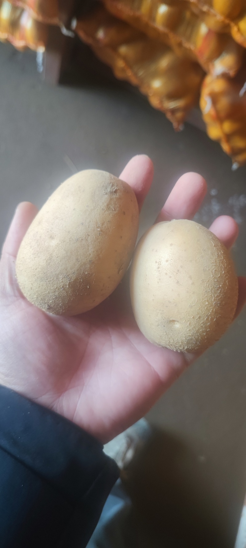 V7土豆，沃土土豆，电商土豆，2-4两土豆，小土豆