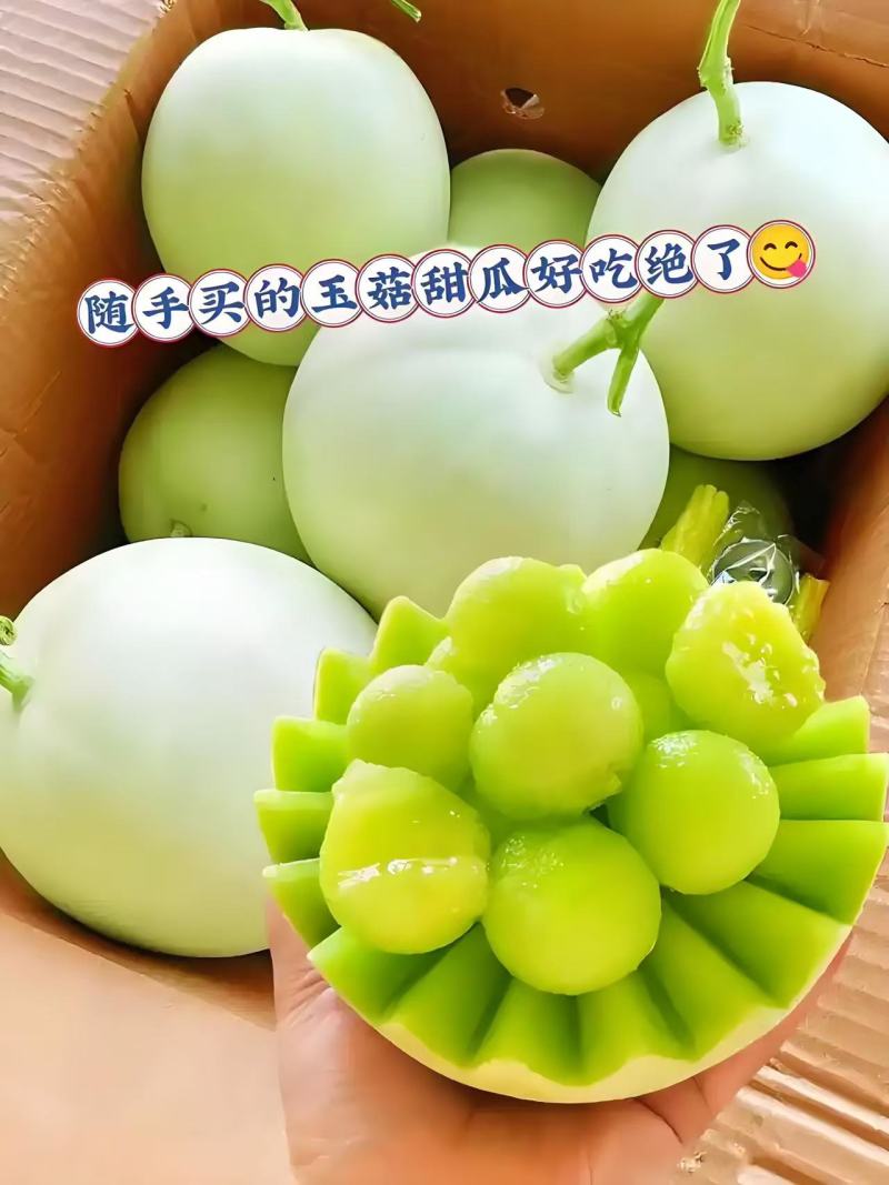 玉菇甜瓜冰淇淋甜瓜奶香蜜香甜可口产地货源直发