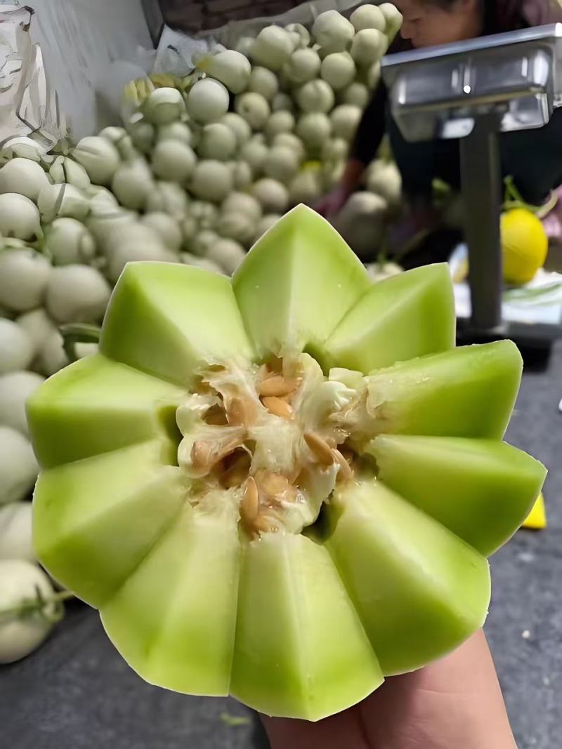 玉菇甜瓜冰淇淋甜瓜奶香蜜香甜可口产地货源直发