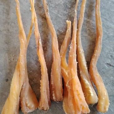 云南萝卜参