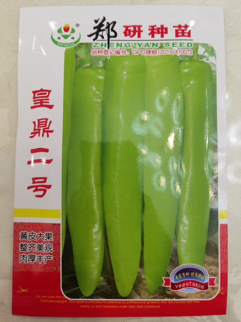 皇鼎二号中熟黄皮辣椒种子香辣大果肉厚黄绿发亮黄皮耐贮运