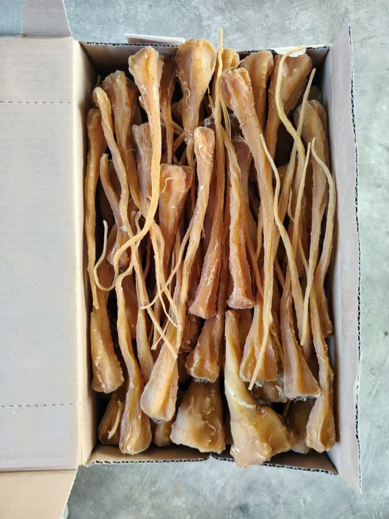 云南萝卜参
