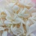 雪莲心