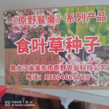 食品级食种草种子一斤2000元，一亩50克150元