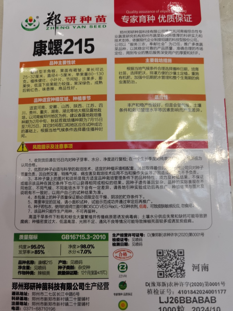 郑研种苗大果型螺丝椒种子康螺215挂果多膨果快味儿香辣果