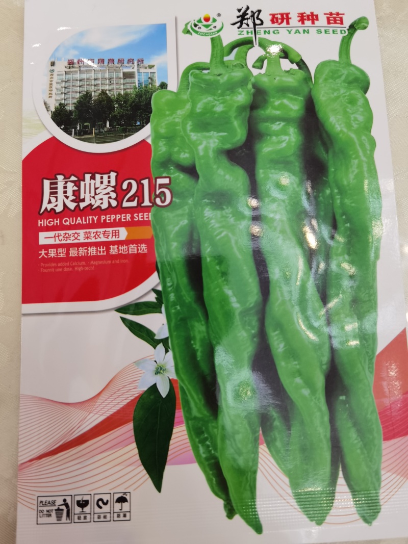 郑研种苗大果型螺丝椒种子康螺215挂果多膨果快味儿香辣果