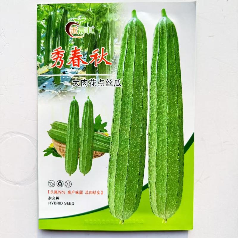 秀春秋大肉花点丝瓜种籽子厚肉棱角丝瓜种子春秋大田高产蔬菜