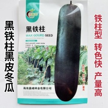 黑铁柱黑皮冬瓜种子杂交一代皮色墨绿表皮光滑空腔小转色快产