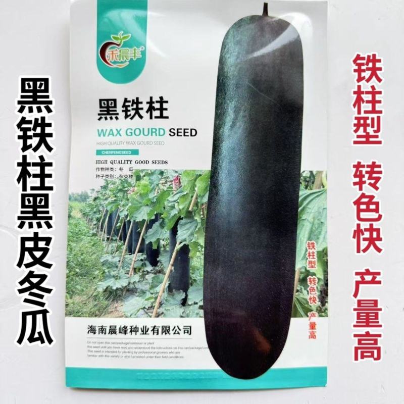 黑铁柱黑皮冬瓜种子杂交一代皮色墨绿表皮光滑空腔小转色快产