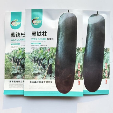 黑铁柱黑皮冬瓜种子杂交一代皮色墨绿表皮光滑空腔小转色快产