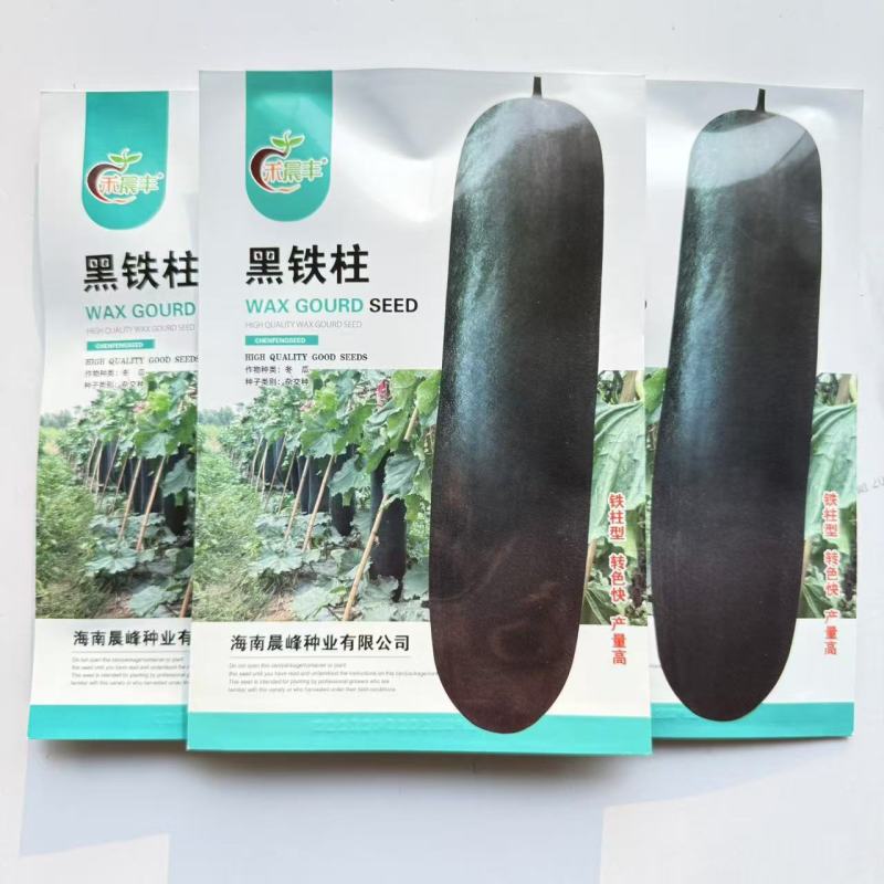 黑铁柱黑皮冬瓜种子杂交一代皮色墨绿表皮光滑空腔小转色快产