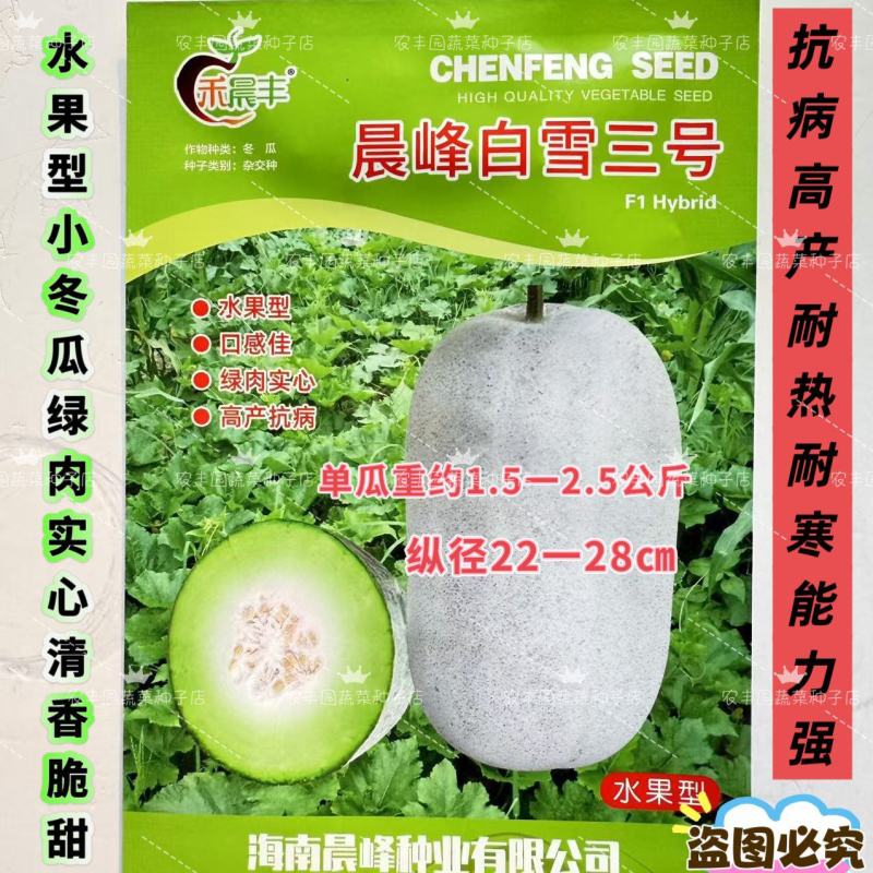 晨峰白雪三号冬瓜种子早熟水果型小冬瓜种子清香脆甜水果冬瓜
