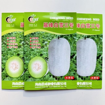 晨峰白雪三号冬瓜种子早熟水果型小冬瓜种子清香脆甜水果冬瓜
