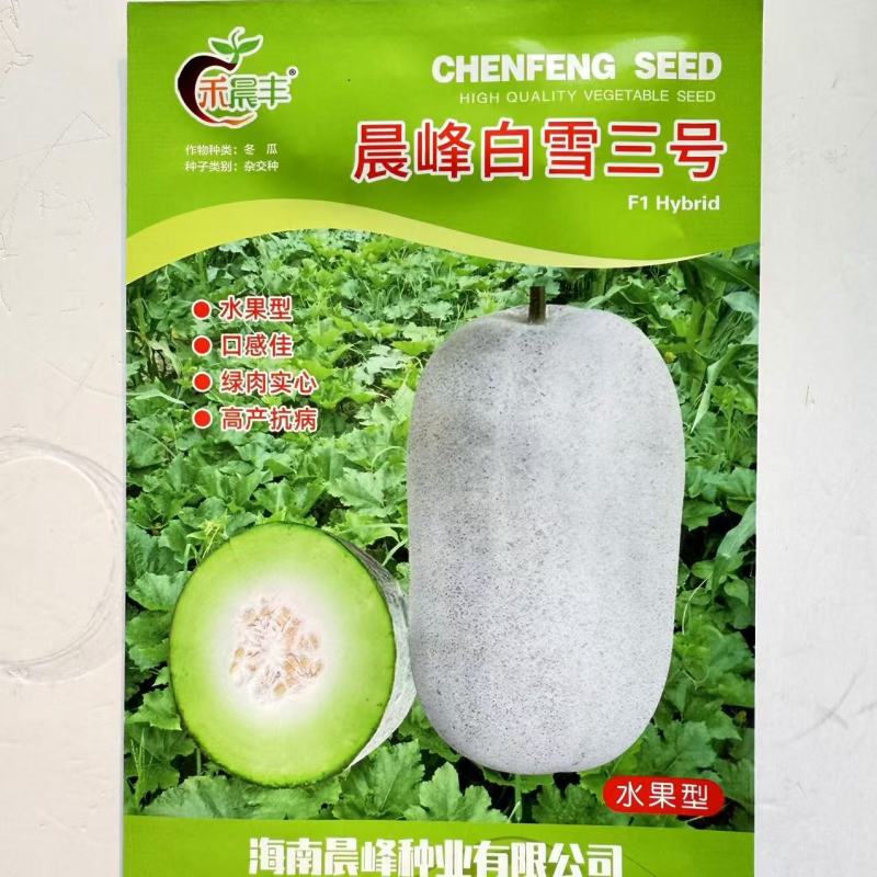 晨峰白雪三号冬瓜种子早熟水果型小冬瓜种子清香脆甜水果冬瓜
