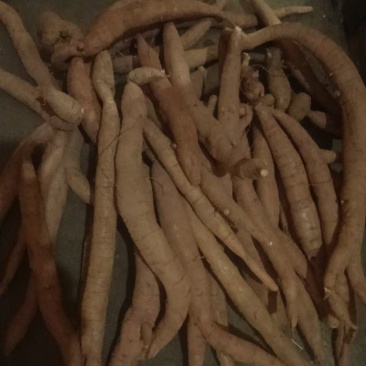 牛大力