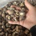 2-3-4-5茶花菇厚香菇干香菇蘑菇干干货香菇