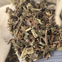 石见穿，选，新货颜色好关书药材桟批发中药材规格齐