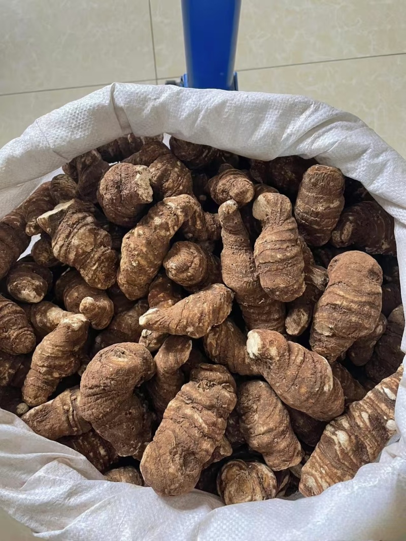 云南滇重楼