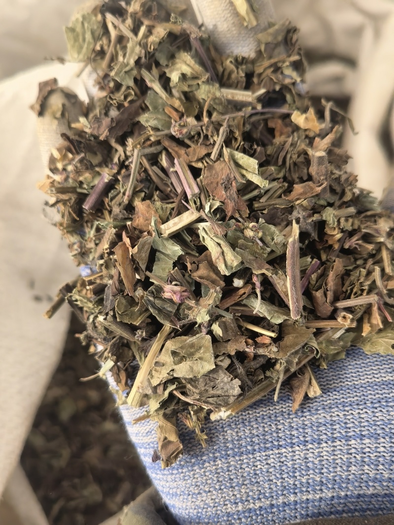 石见穿，选，新货颜色好关书药材桟批发中药材规格齐