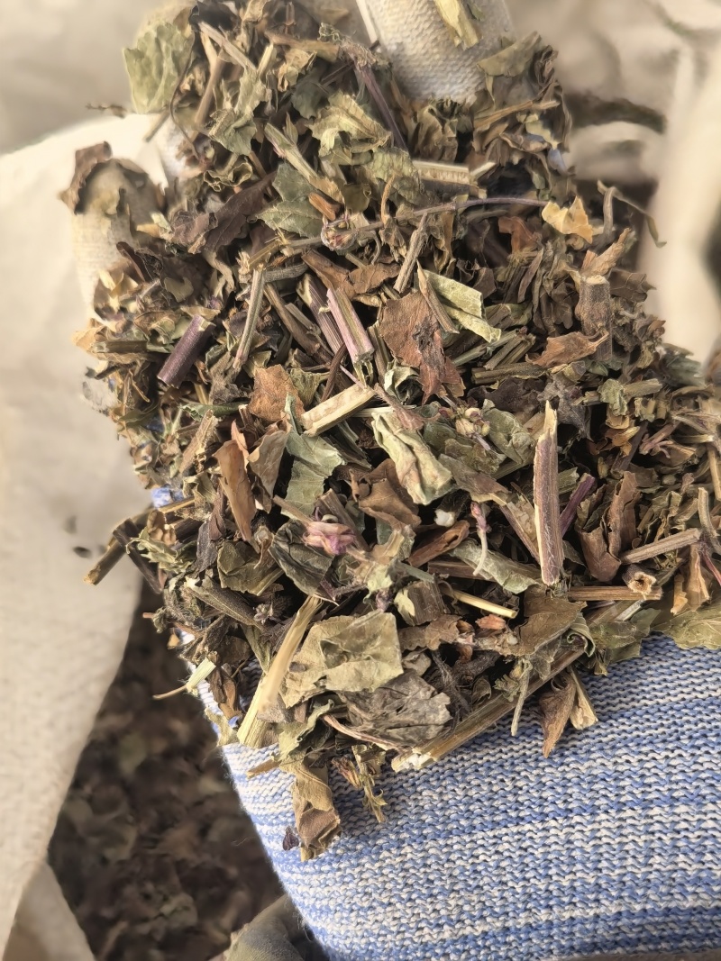 石见穿，选，新货颜色好关书药材桟批发中药材规格齐