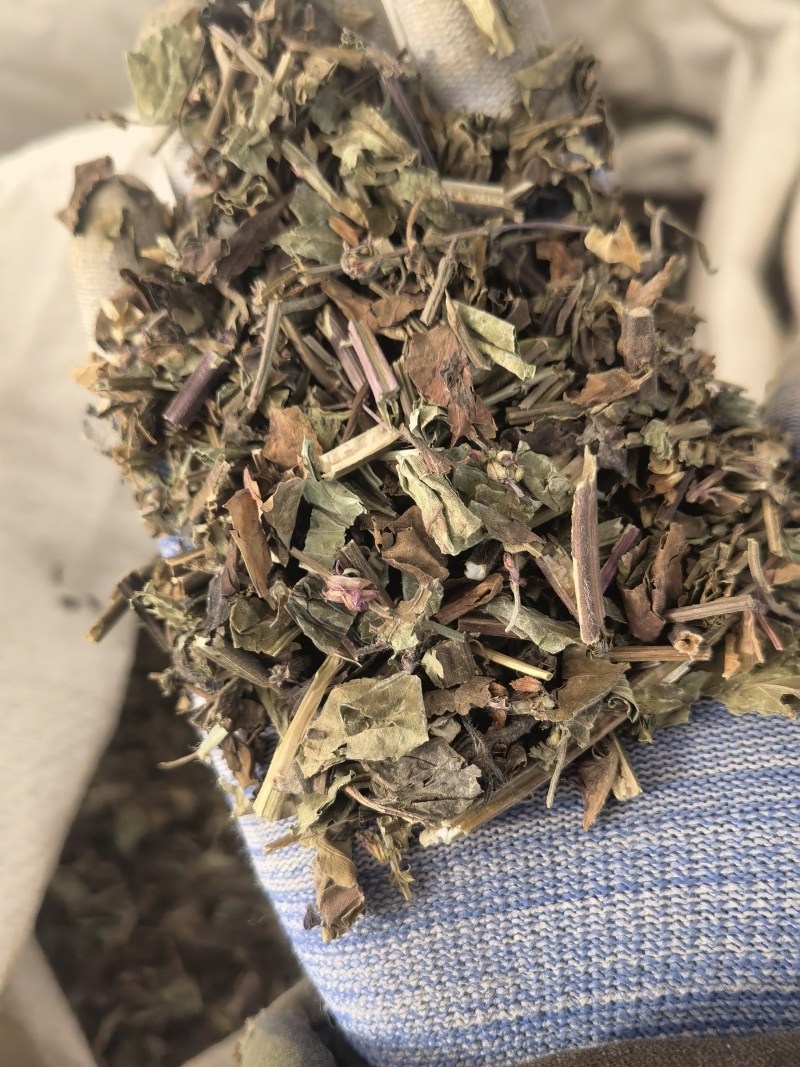 石见穿，选，新货颜色好关书药材桟批发中药材规格齐