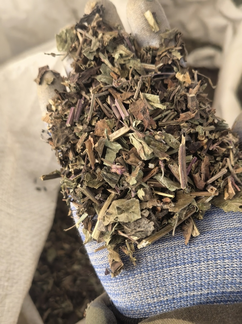 石见穿，选，新货颜色好关书药材桟批发中药材规格齐