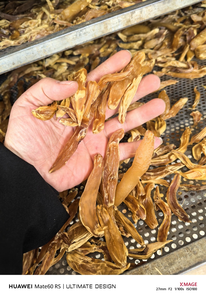 野生天门冬壳冬成品干货剥皮成品个子