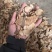 土茯苓干片野生土茯苓机切片大货供应广西河池产地