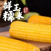 抽真空黄玉米甜糯玉米一件代发对接各大电商平台社区团购
