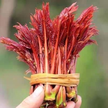 价格美丽，货源充足，质量**，服务到位，需要的老板联系我