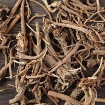 中药材阿纳其根欧都里开日合除虫菊根