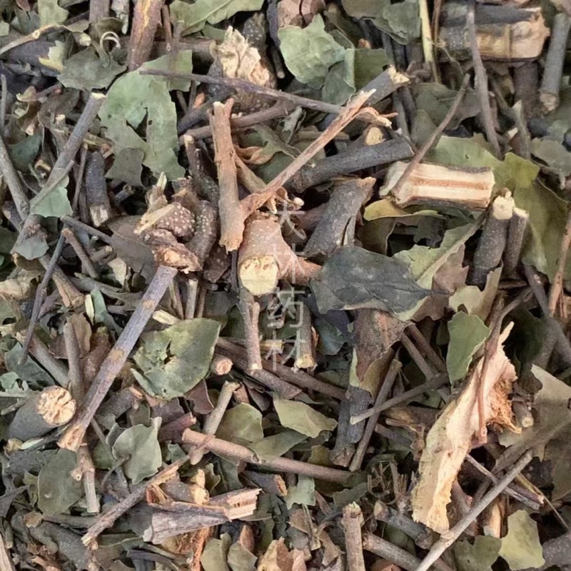 桐油树寄生【包邮】三斤起发货可批量可零售量大从优