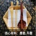 泡酒料高配版锁阳肉苁蓉菟丝子山参鹿茸牛鞭风流果回春草