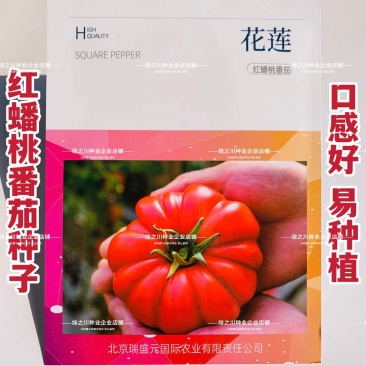 老品种蟠桃番茄种子山东花莲马蹄番茄种子好吃红色西红柿种籽