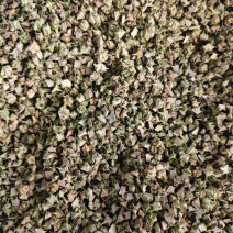 蒺藜，颜色好看全部撞掉刺。安徽亳州产地直供