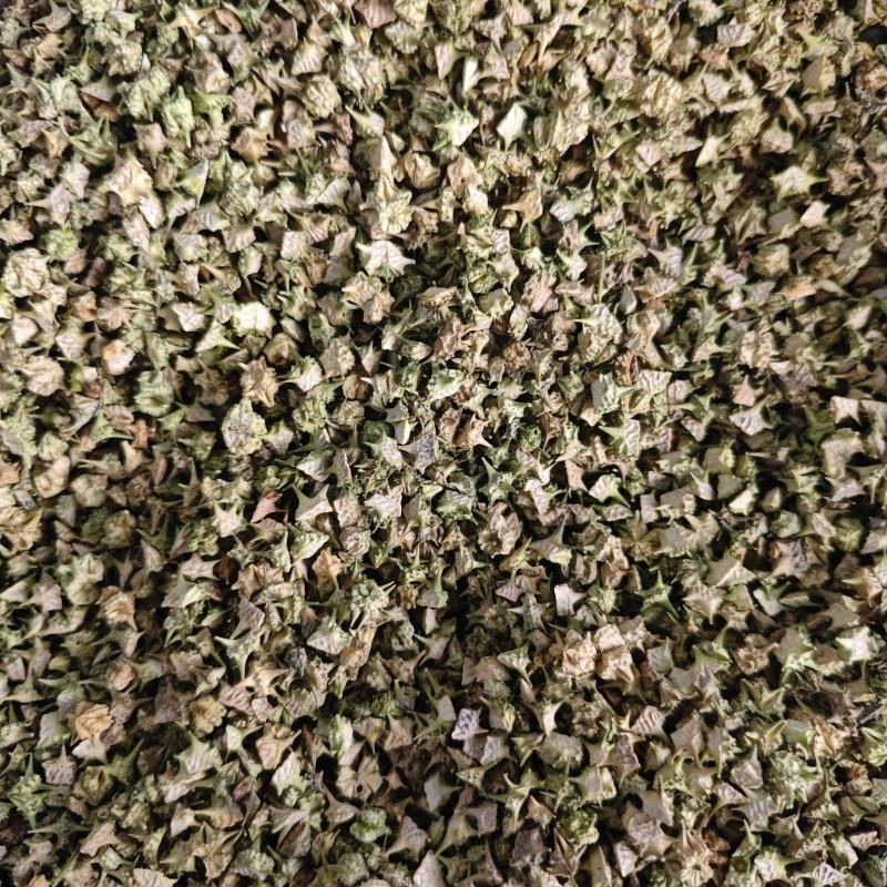 蒺藜，颜色好看全部撞掉刺。安徽亳州产地直供