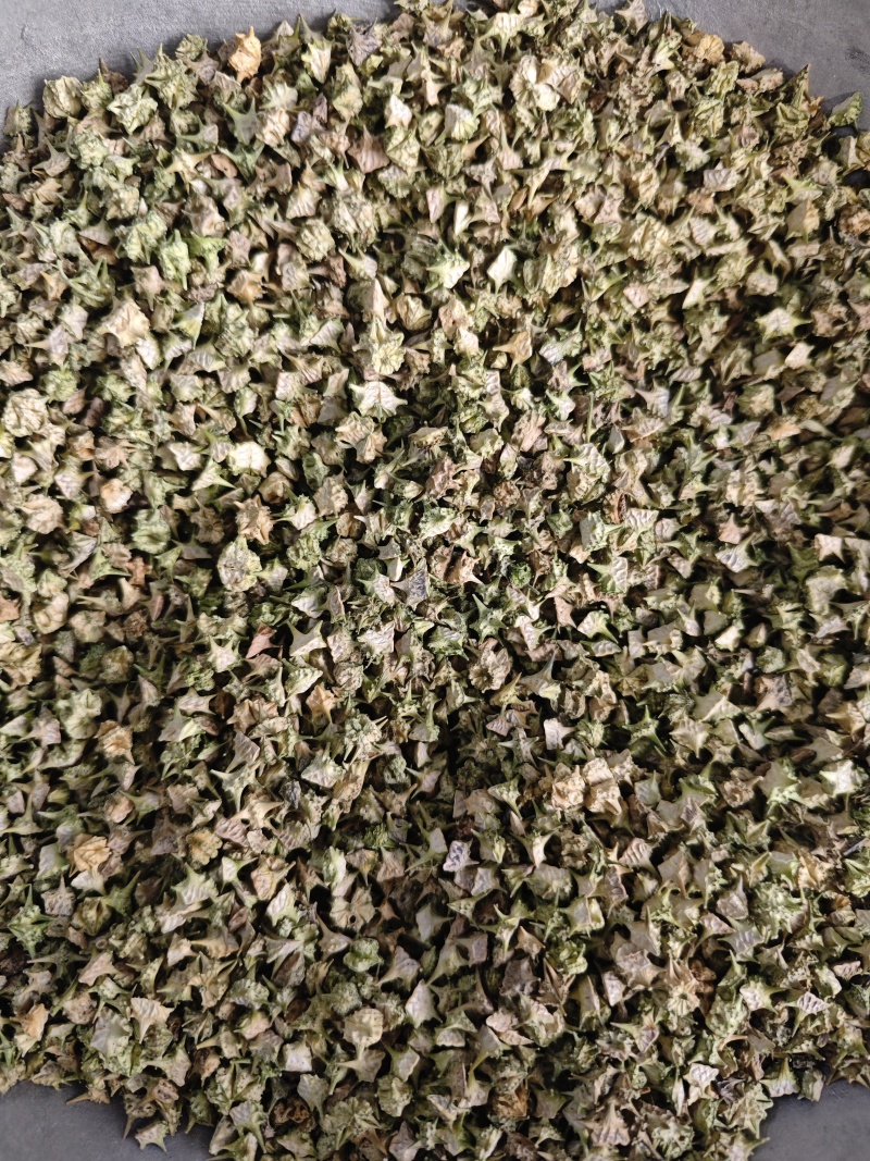 蒺藜，颜色好看全部撞掉刺。安徽亳州产地直供