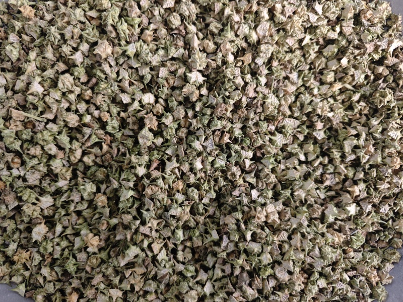 蒺藜，颜色好看全部撞掉刺。安徽亳州产地直供